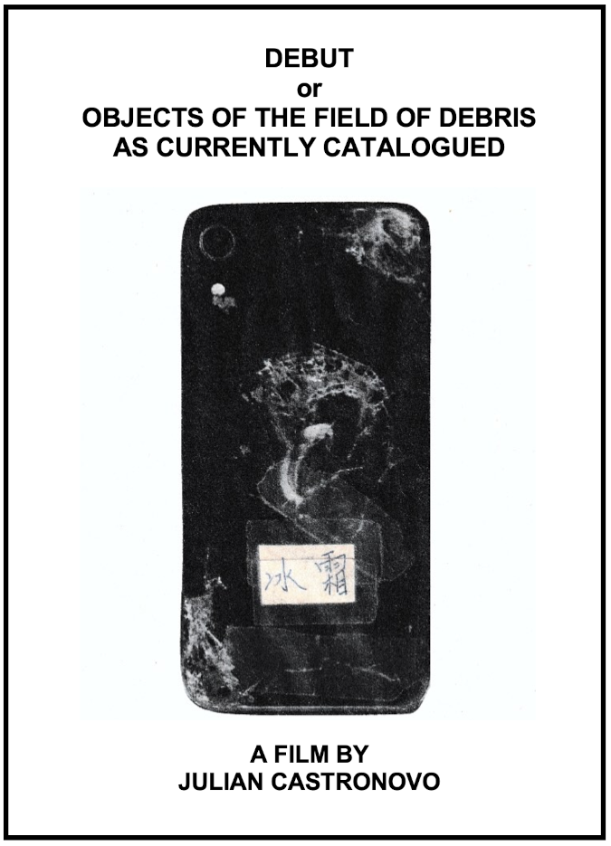 Debut, or, Objects of the Field of Debris as Currently Catalogued